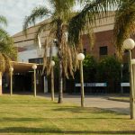 Un pitbull mordió en el rostro a un menor en la ciudad de Santa Fe