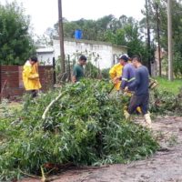 La tormenta de esta madrugada provocó caída de ramas y cortes de luz en la región