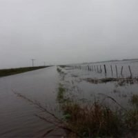 Santa Fe declaró la emergencia agropecuaria en el norte provincial y dispuso alivios impositivos para productores afectados