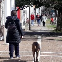 Alertan que una masa de aire polar irrumpirá en Argentina