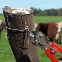 Se robaron 100 vacas de un campo en Santo Domingo