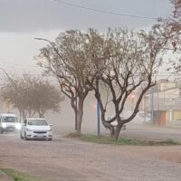 El viento sur llegó y se viene un fin de semana bien invernal