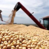 El Gobierno elimina retenciones a los granos hasta el 31 de octubre