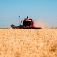 Nación bajará retenciones al campo y eliminará economías regionales