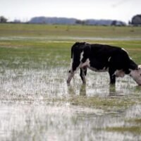 La provincia declaró la emergencia en departamentos del norte y activó créditos por lluvias