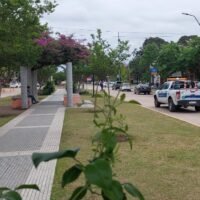 Inicio de semana con ascenso de temperaturas y lluvias hacia mitad de semana en Santa Fe