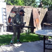 Reportaron 952 notificaciones pero no hay positivos en la provincia