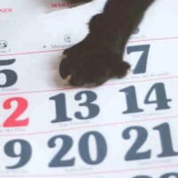 Martes 13: ¿por qué se lo relaciona con la mala suerte?