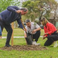 En Recreo comienza la inscripción para el programa “El árbol de la vida”