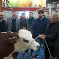 Santa Fe mostrará su potencia productiva, tecnológica y gastronómica en la Expo Rural de Palermo