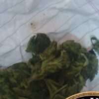 Hallaron marihuana en la mochila de una alumna de séptimo grado en una escuela de Santa Fe