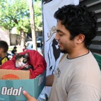 El IMUSA realizará castraciones masivas en barrio Pompeya de Santa Fe