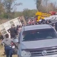 Tensión y desorden tras el vuelco de un camión jaula en Iriondo
