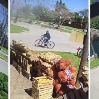 Ingresó a una escuela y robó una bicicleta en plena zona céntrica de Recreo