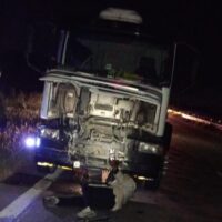 Un camión chocó con un caballo en la Circunvalación, jurisdicción Recreo