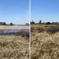 Se registraron dos incendios de trigales en 24 horas en Recreo