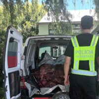 Secuestran 600 kilos de carne por presunto abigeato en Sauce Viejo