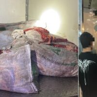 Intentó evadir el peaje con 360 kg de carne vacuna: dos aprehendidos de Recreo en la RN 19
