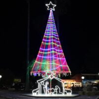 Se colocó el “Árbol de Todos” en Laguna Paiva