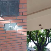 Robaron una placa y luminarias del Club de Leones de Recreo