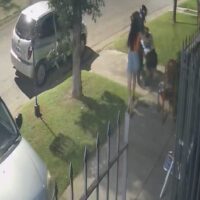 Una joven fue arrastrada por un motochorro que le robó el celular en Santa Fe