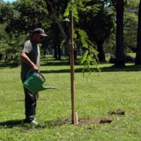 Campaña de forestación: el intendente Poletti plantó el árbol número 5000 del año