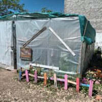 Declaran de Interés Municipal el proyecto “Vivero de Hierbas Medicinales”