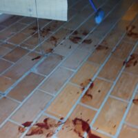 Corría por los techos ensangrentado y fue detenido en Santa Fe