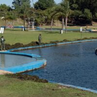 La Municipalidad de Santa Fe intensifica las tareas de mantenimiento y limpieza en el Parque del Sur