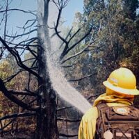 Intenso trabajo de brigadistas santafesinos en la cooperación interjurisdiccional para controlar el fuego en Chubut