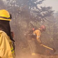 Brigadistas de Santa Fe llegaron a la Patagonia para combatir los incendios