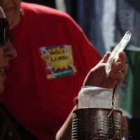 Dengue: se confirmó la presencia del vector en 30 barrios de la ciudad de Santa Fe