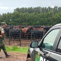 Recuperaron los animales robados al productor y creador de contenido Bruno Riboldi