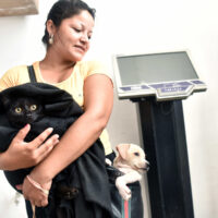 El Imusa realizará castraciones masivas gratuitas en Juventud del Norte