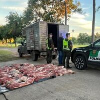 Decomisan casi una tonelada de carne y pescado por infracciones sanitarias en el norte santafesino
