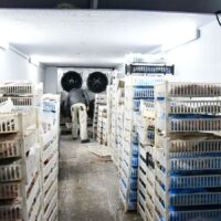 Ambiente reforzó controles y sancionó a dos frigoríficos pesqueros en Santa Fe